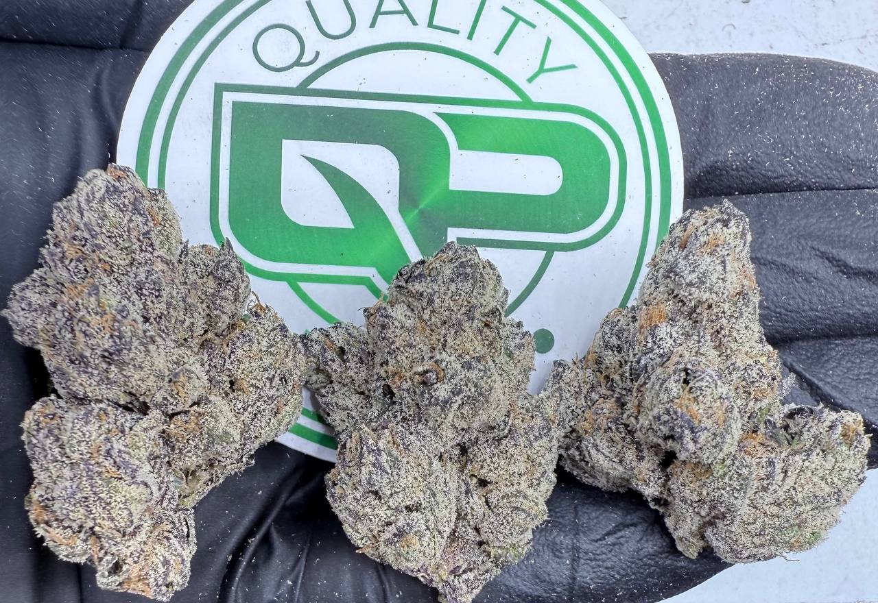 Watermelon Zlushie Strain