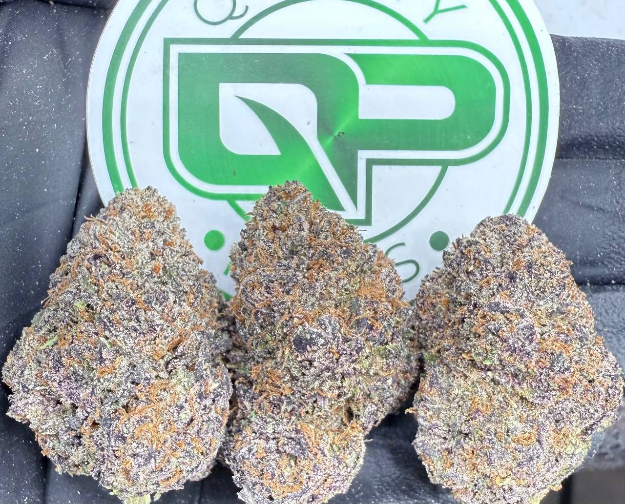 Hawaiin Snow Strain