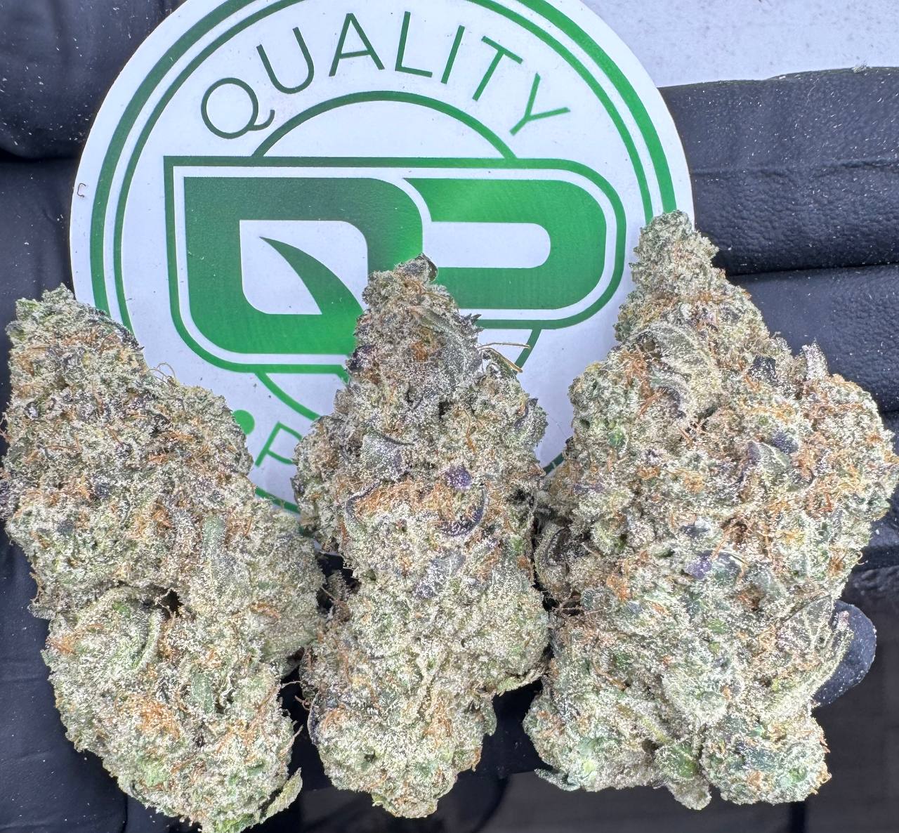 Banana Conola Strain