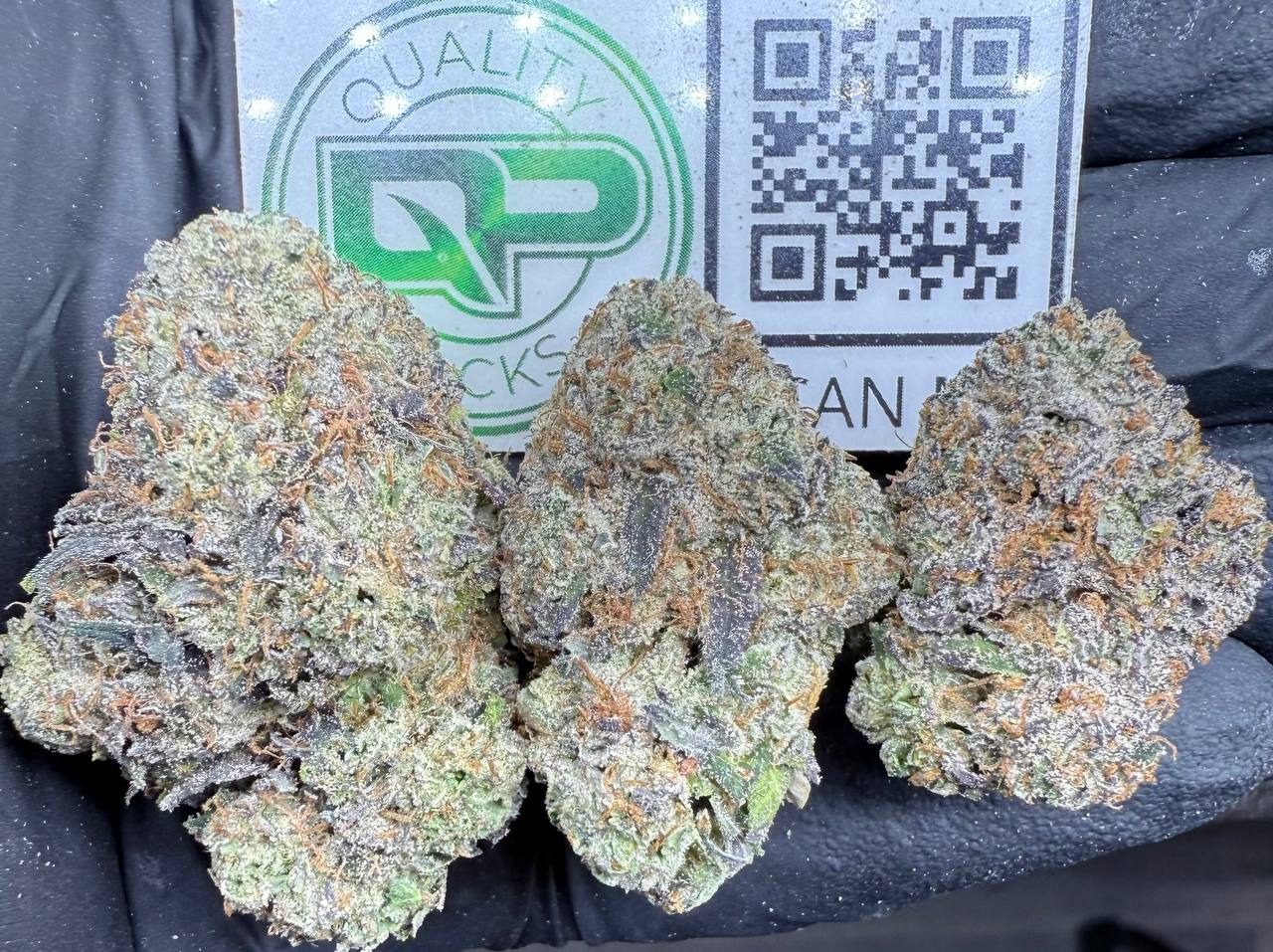 Silver Spoon Strain