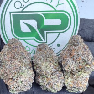 CANDYLAND STRAIN