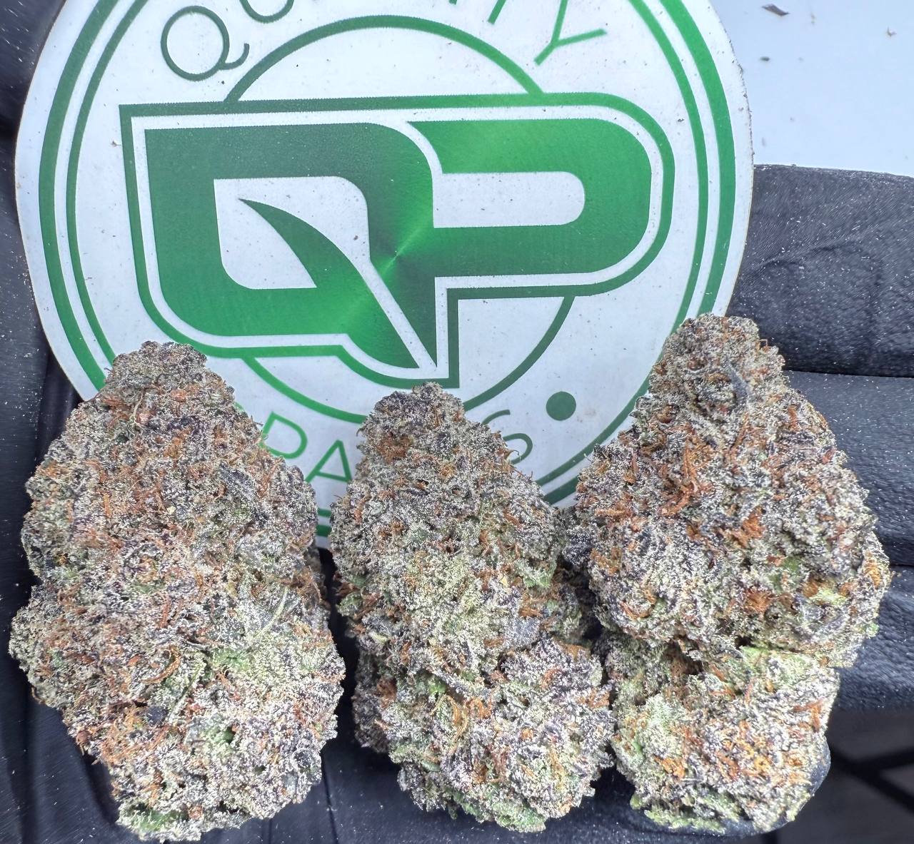 CANDYLAND STRAIN